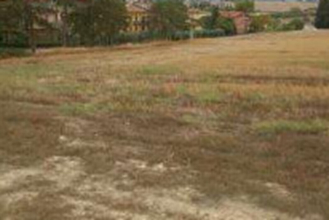 Immagine di TERRENO FRAZ.SPINA – MARSCIANO (PG)