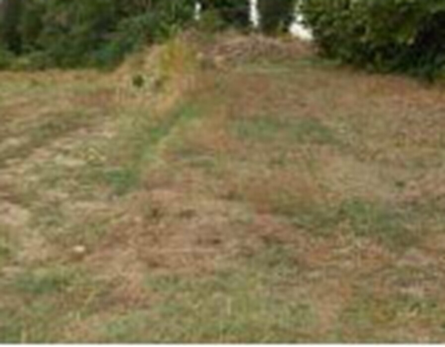 Immagine di TERRENO FRAZ.SPINA – MARSCIANO (PG)