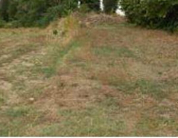 TERRENO FRAZ.SPINA - MARSCIANO (PG) — foto 4