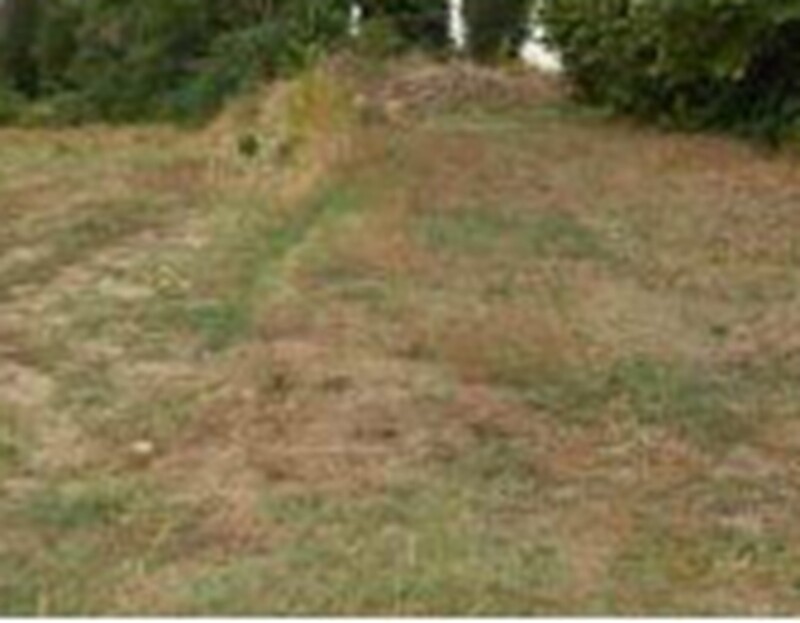 Immagine di TERRENO FRAZ.SPINA – MARSCIANO (PG)
