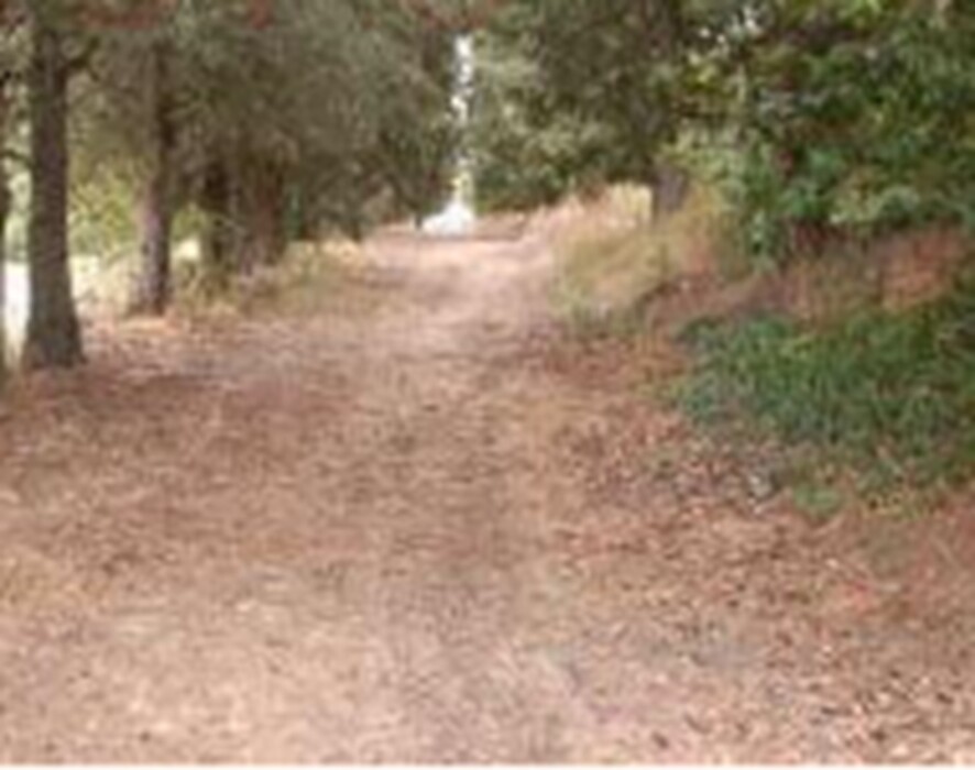 Immagine di TERRENO FRAZ.SPINA – MARSCIANO (PG)