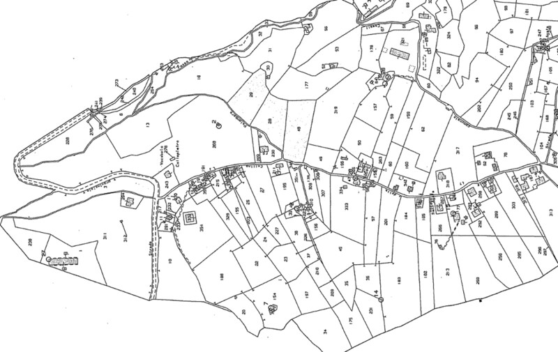 Immagine di TERRENI STRADA STATLE 313 – VACONE (RI)