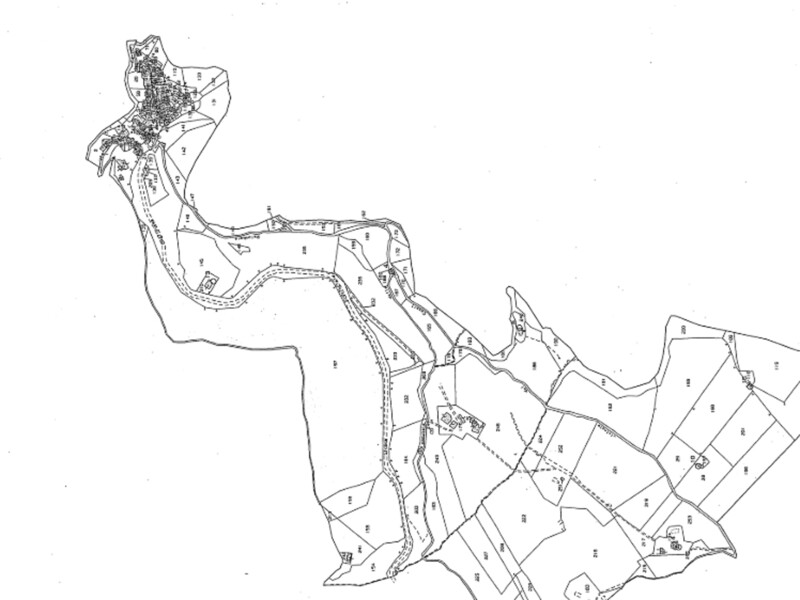 Immagine di TERRENI STRADA STATLE 313 – VACONE (RI)