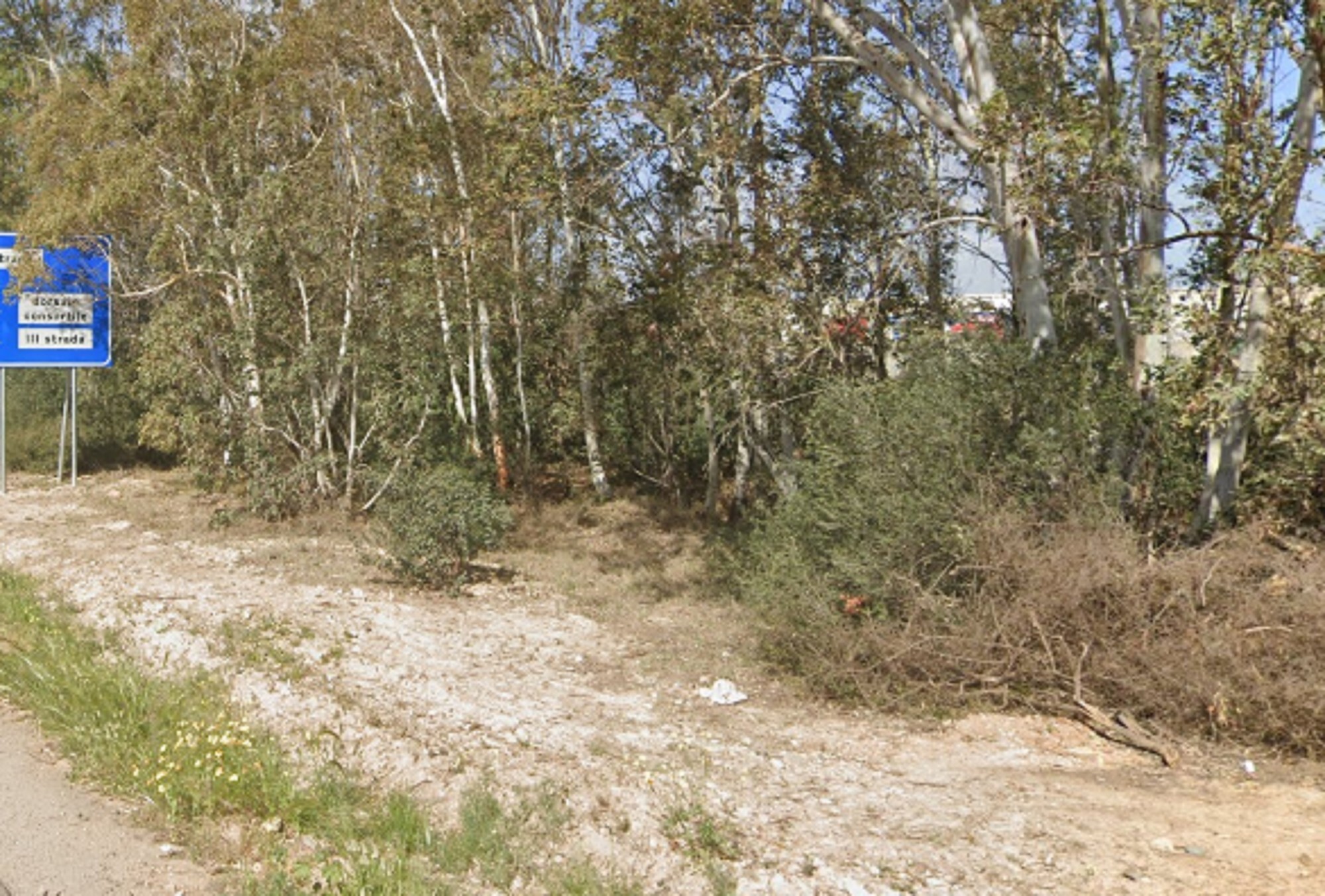 CAPANNONE / IMMOBILI INDUSTRIALI LOC. MACCHIAREDDU - ASSEMINI — foto 9
