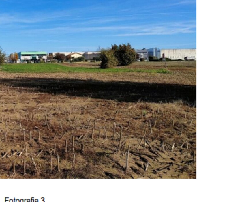 Immagine di TERRENO VIA SAN MARCO – CARTOCETO (PU)