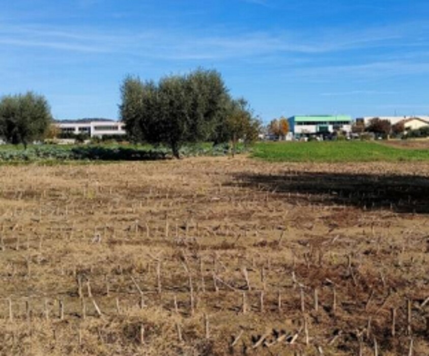 Immagine di TERRENO VIA SAN MARCO – CARTOCETO (PU)