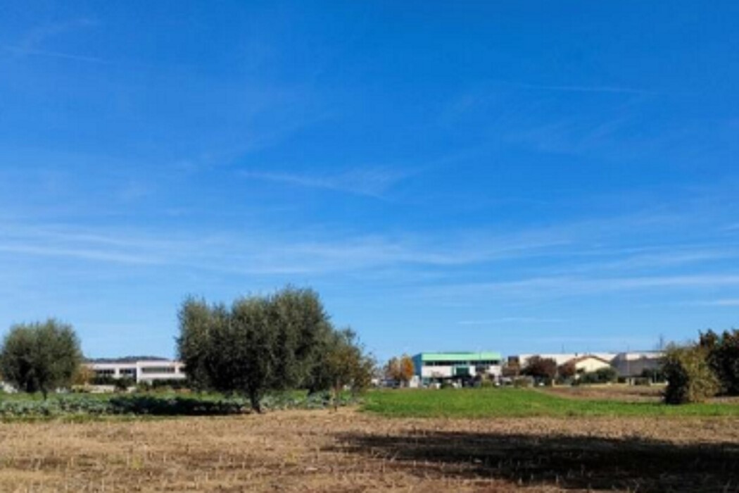 Immagine di TERRENO VIA SAN MARCO – CARTOCETO (PU)