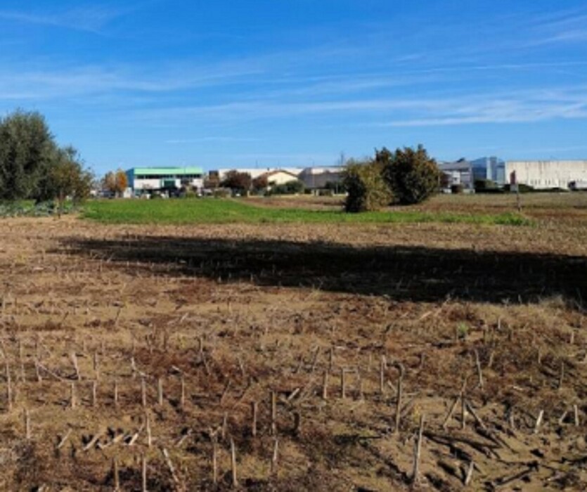 Immagine di TERRENO VIA SAN MARCO – CARTOCETO (PU)
