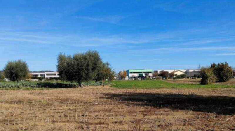 Immagine di TERRENO VIA SAN MARCO – CARTOCETO (PU)