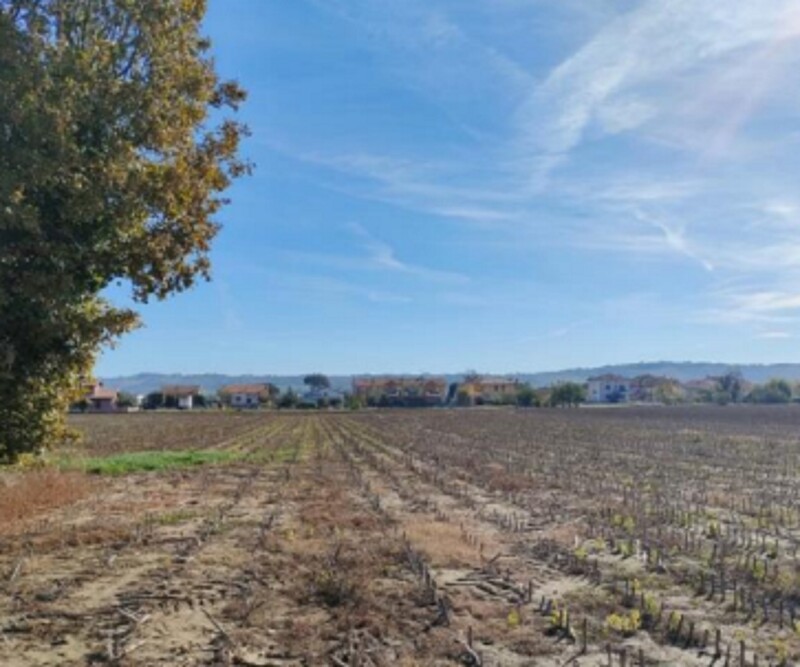 Immagine di TERRENO VIA SAN MARCO – CARTOCETO (PU)