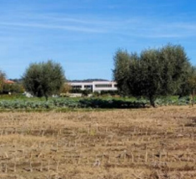 Immagine di TERRENO VIA SAN MARCO – CARTOCETO (PU)