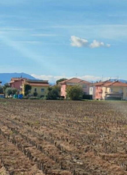 TERRENO VIA SAN MARCO - CARTOCETO (PU) — foto 7