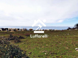 Immagine di TERRENI LOCALITA’ PEZZA DEL POZZO – ROCCA MASSIMA (LT)