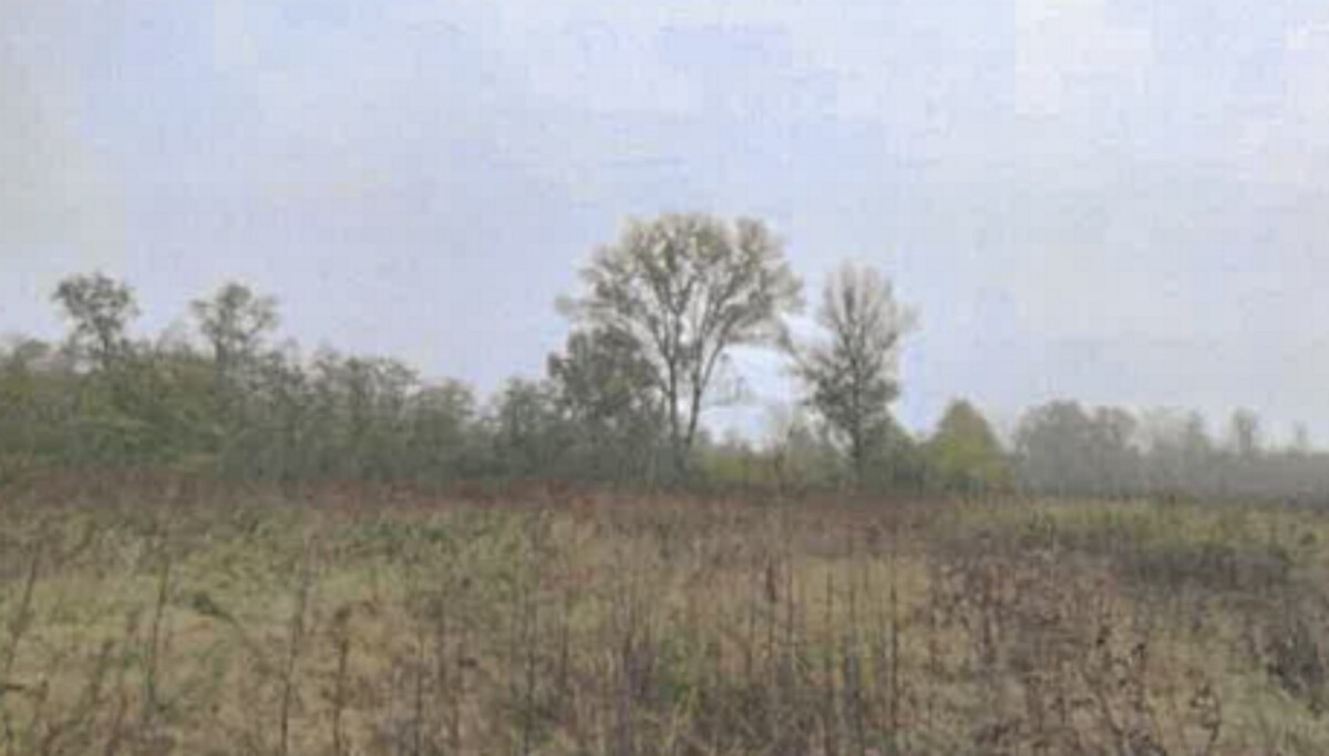 Immagine di APPARTAMENTO VIA REGINA SNC – ROBECCHETTO CON INDUNO
