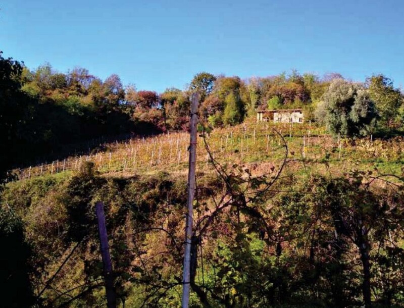 Immagine di FABRICATI e TERRENI VIA MIRE ALTE – REFRONTOLO (TV)