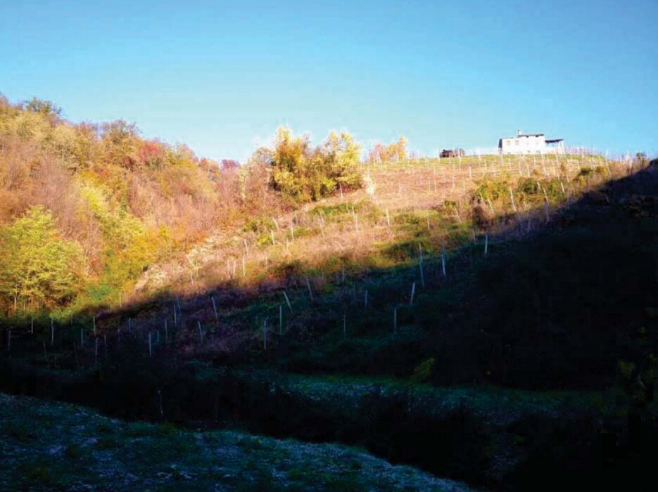 Immagine di FABRICATI e TERRENI VIA MIRE ALTE – REFRONTOLO (TV)