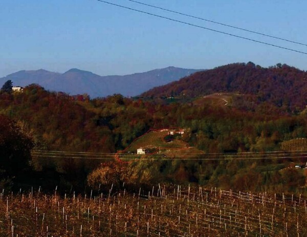 FABRICATI e TERRENI VIA MIRE ALTE - REFRONTOLO (TV) — foto 4