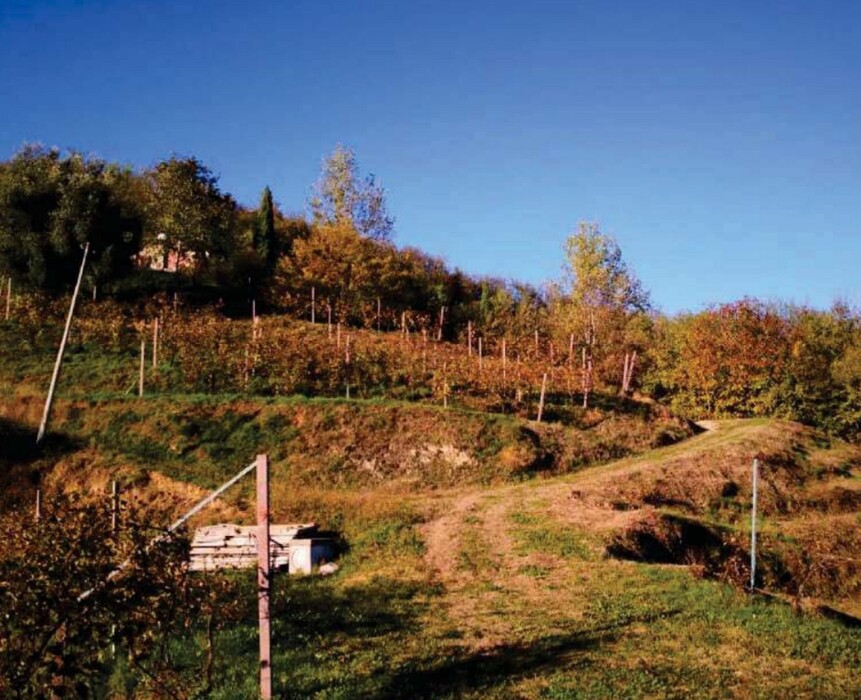 Immagine di FABRICATI e TERRENI VIA MIRE ALTE – REFRONTOLO (TV)