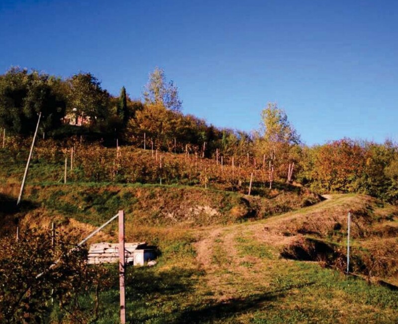 Immagine di FABRICATI e TERRENI VIA MIRE ALTE – REFRONTOLO (TV)