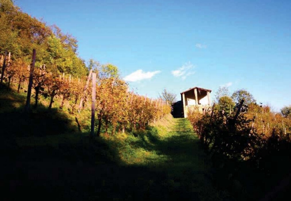 Immagine di FABRICATI e TERRENI VIA MIRE ALTE – REFRONTOLO (TV)
