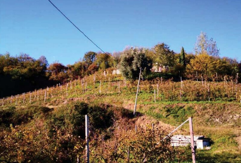 Immagine di FABRICATI e TERRENI VIA MIRE ALTE – REFRONTOLO (TV)