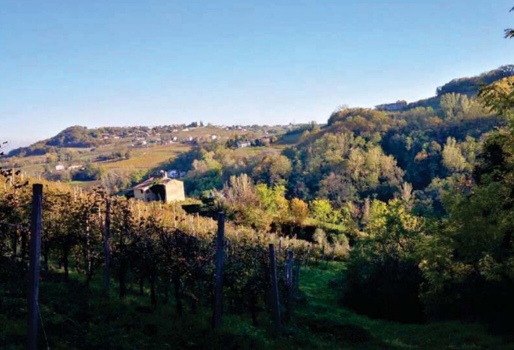 Immagine di FABRICATI e TERRENI VIA MIRE ALTE – REFRONTOLO (TV)