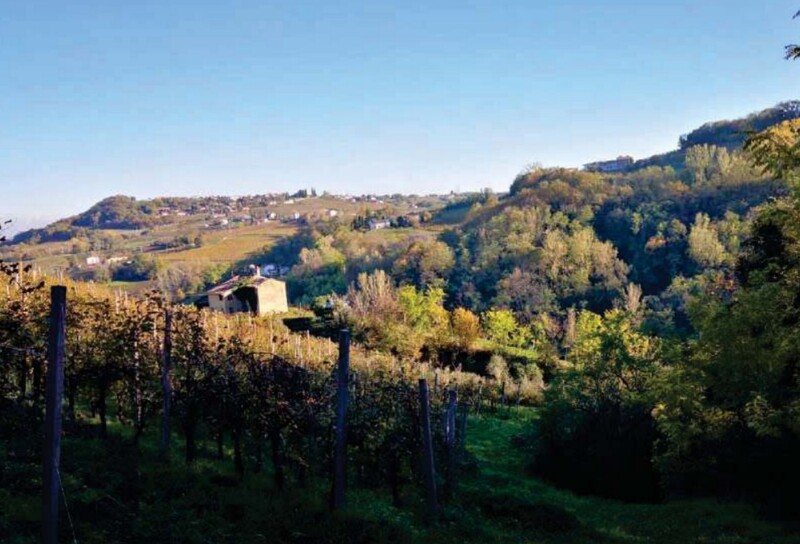 Immagine di FABRICATI e TERRENI VIA MIRE ALTE – REFRONTOLO (TV)