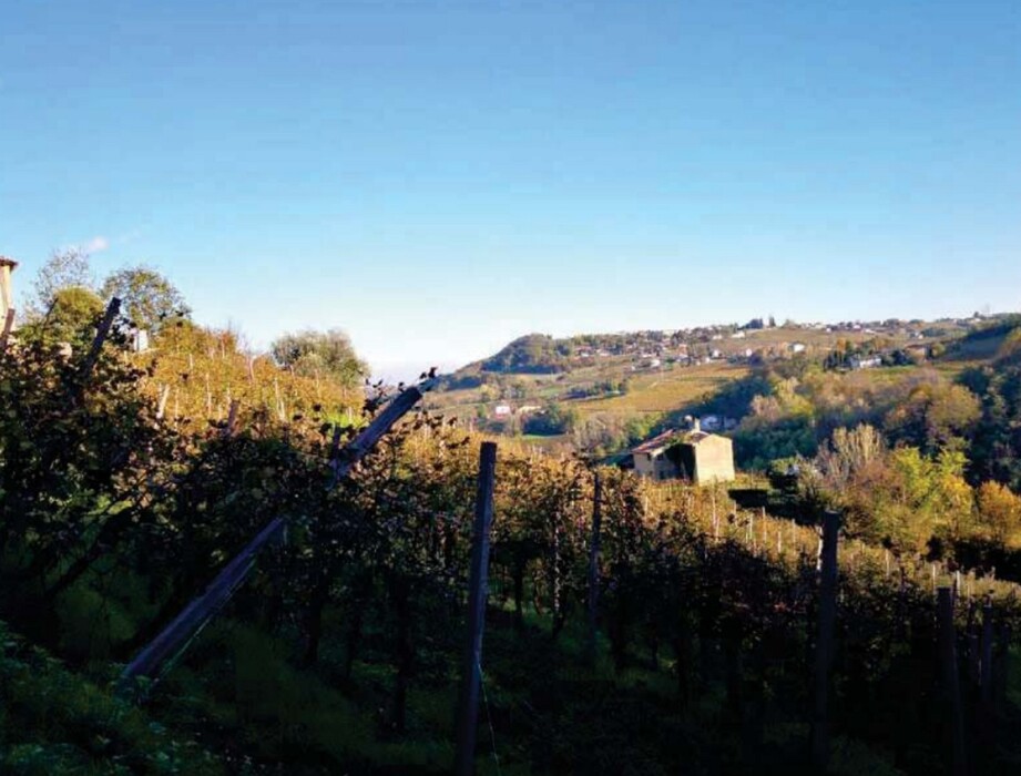 Immagine di FABRICATI e TERRENI VIA MIRE ALTE – REFRONTOLO (TV)