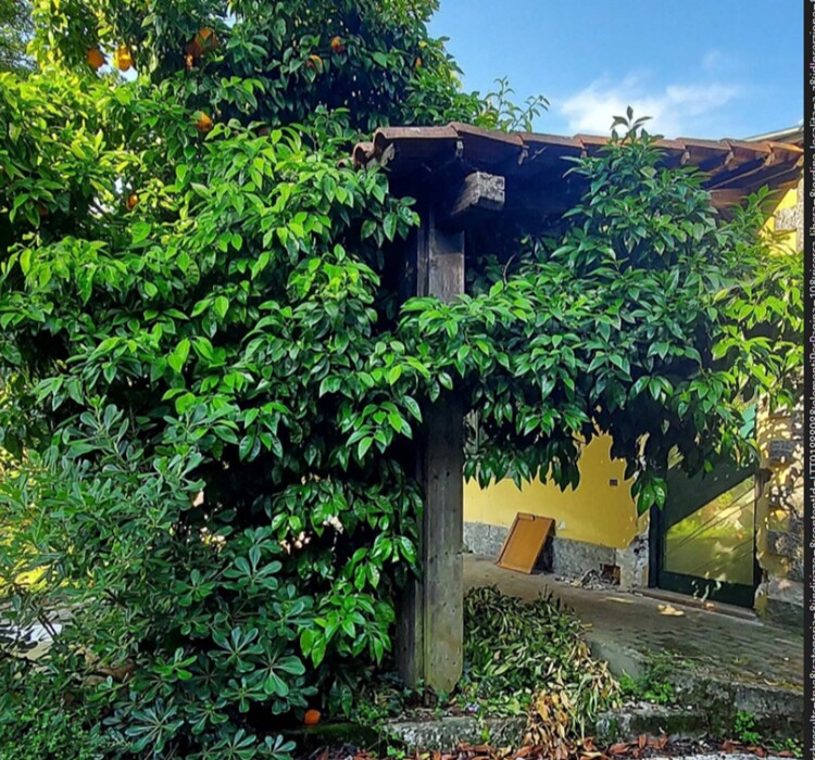 Immagine di UFFICIO VIA VARLESE – CASSINO (FR)