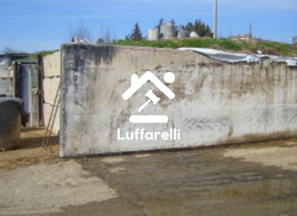 TERRENO CONTRADA PIETRA SCRITTA - BELLA — foto 8