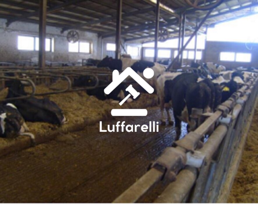 Immagine di TERRENO CONTRADA PIETRA SCRITTA SNC – BELLA