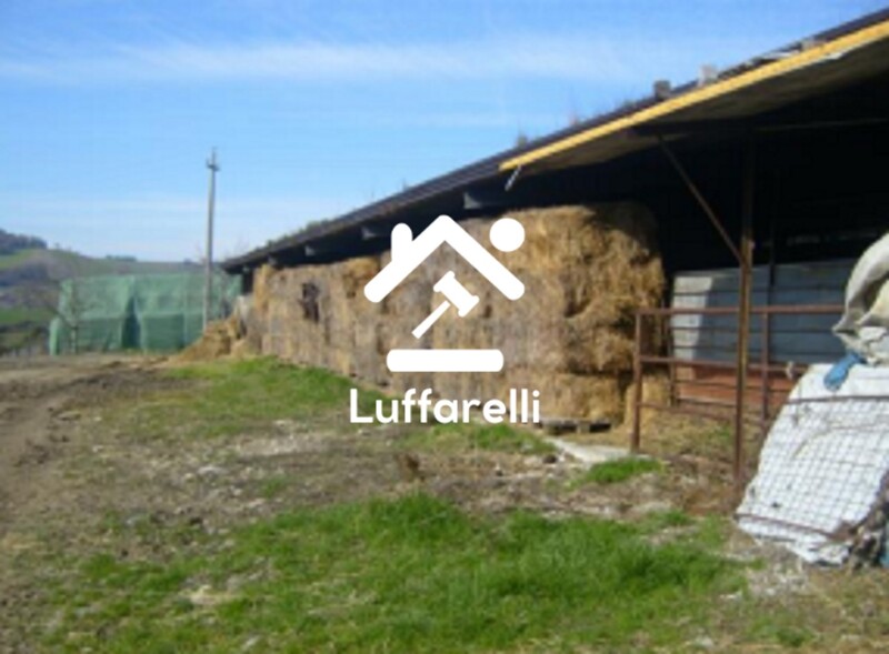 Immagine di TERRENO CONTRADA PIETRA SCRITTA SNC – BELLA