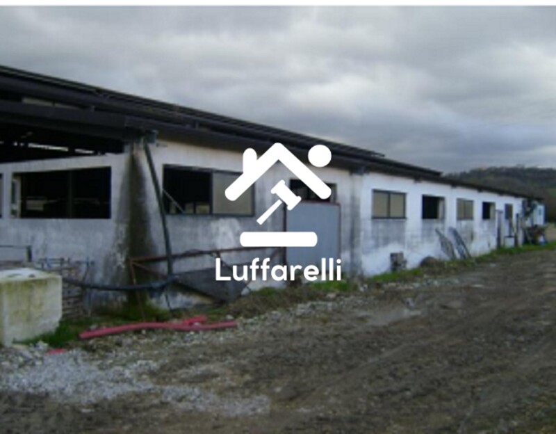 Immagine di TERRENO CONTRADA PIETRA SCRITTA SNC – BELLA