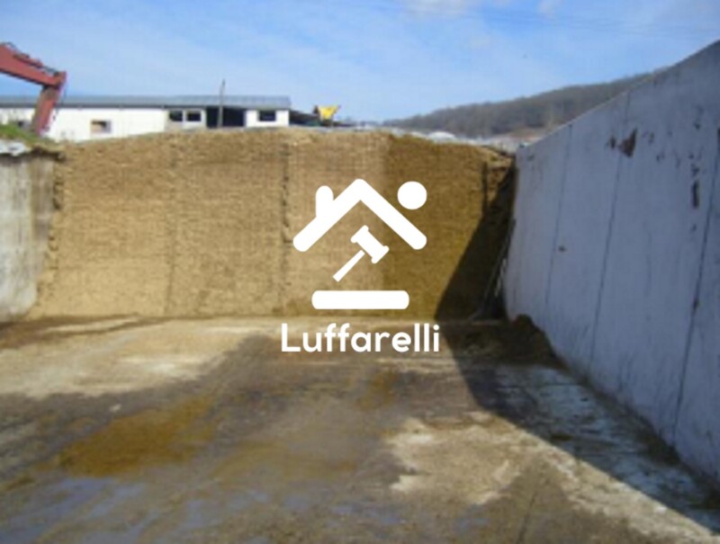 Immagine di TERRENO CONTRADA PIETRA SCRITTA SNC – BELLA