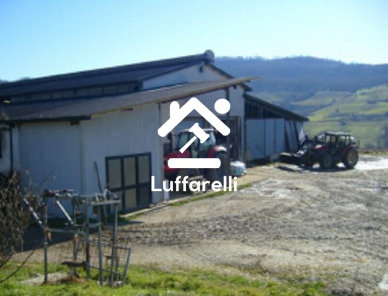 Immagine di TERRENO CONTRADA PIETRA SCRITTA SNC – BELLA