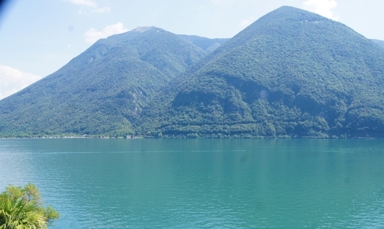 Vista