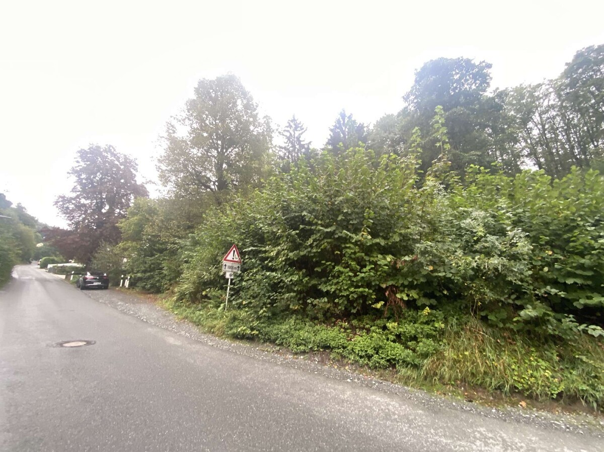 Ansicht von Straße