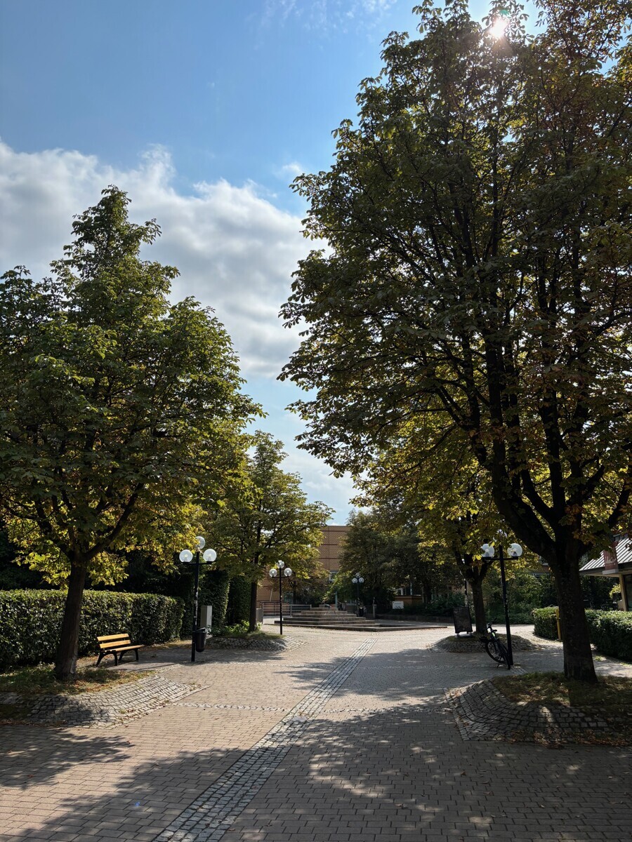 Umgebung/Zuweg