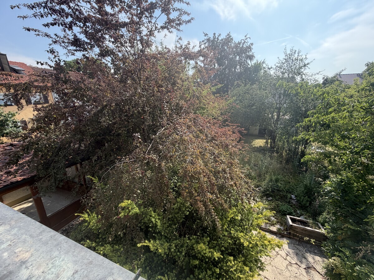 Blick in den Garten
