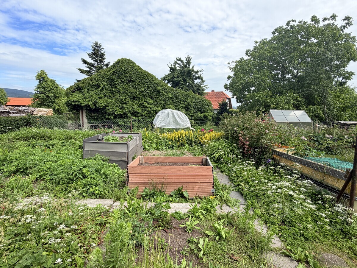 Gemüsegarten