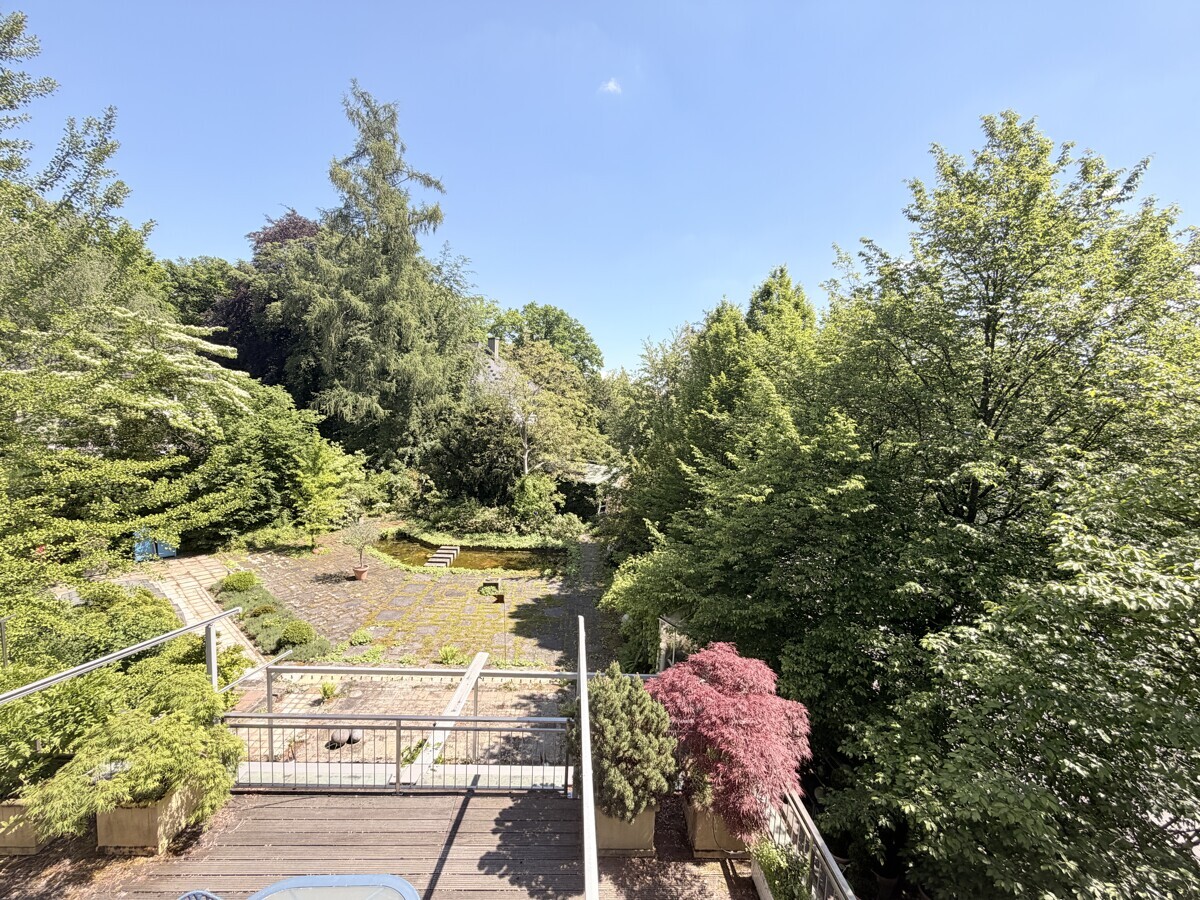 Blick in den Garten