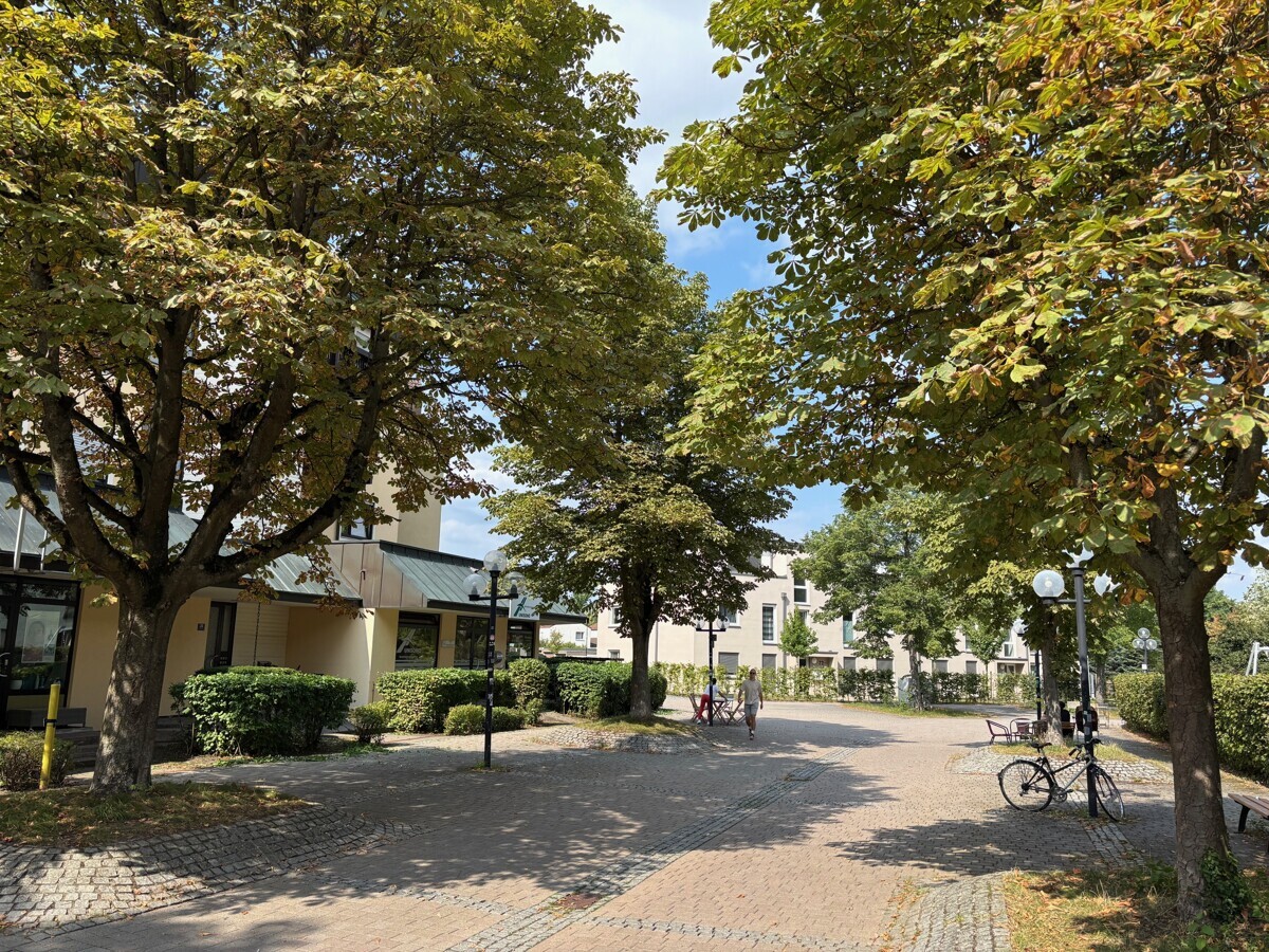 Umgebung/Zuweg