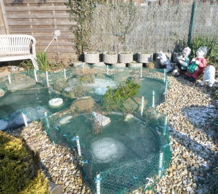 Garten