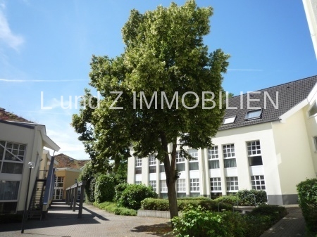 Blick aus Wohnzimmer