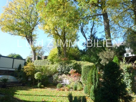 Blick in Garten