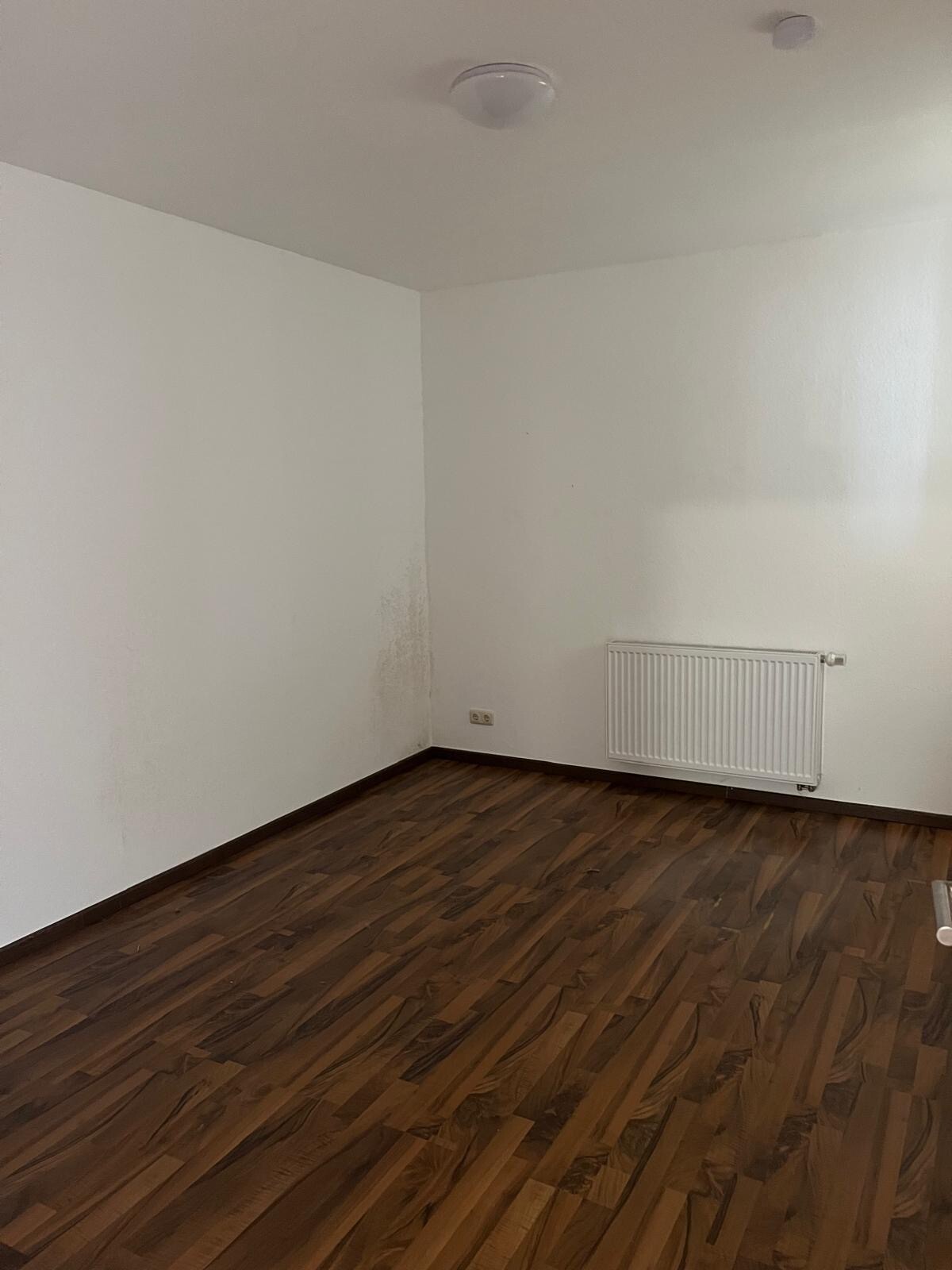 Einblick Wohnung mit angrenzender Werkstatt