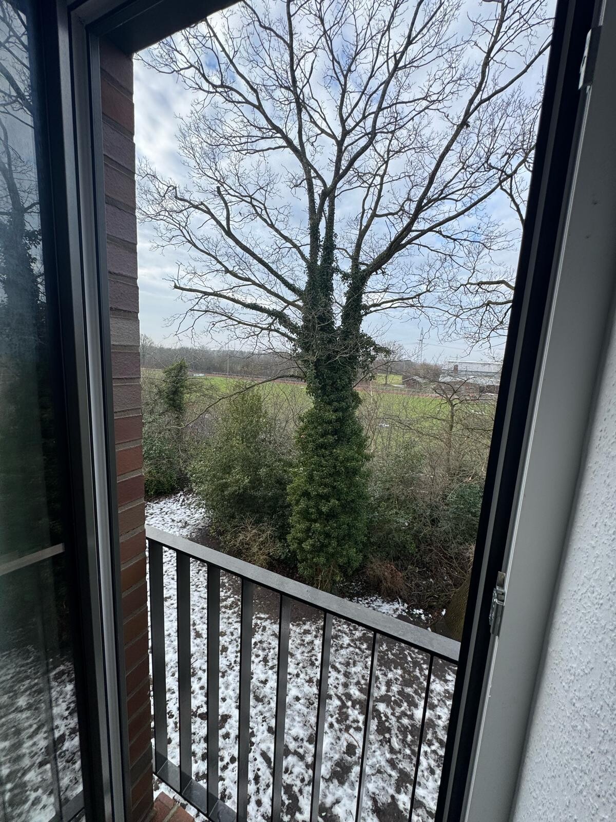 PHOTO-2026-02-14-06-46-10 3