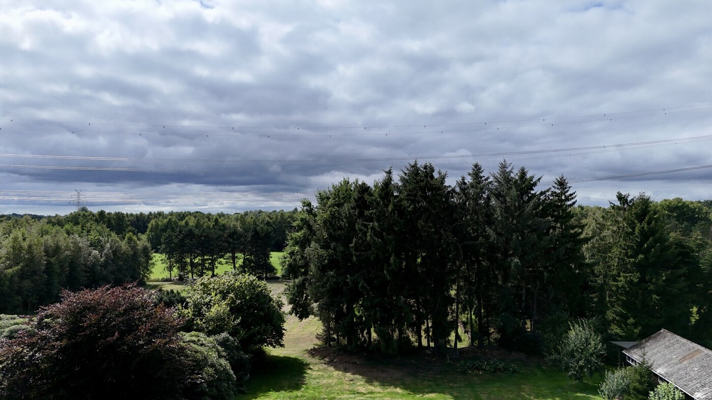 Blick auf die hinteren Weiden