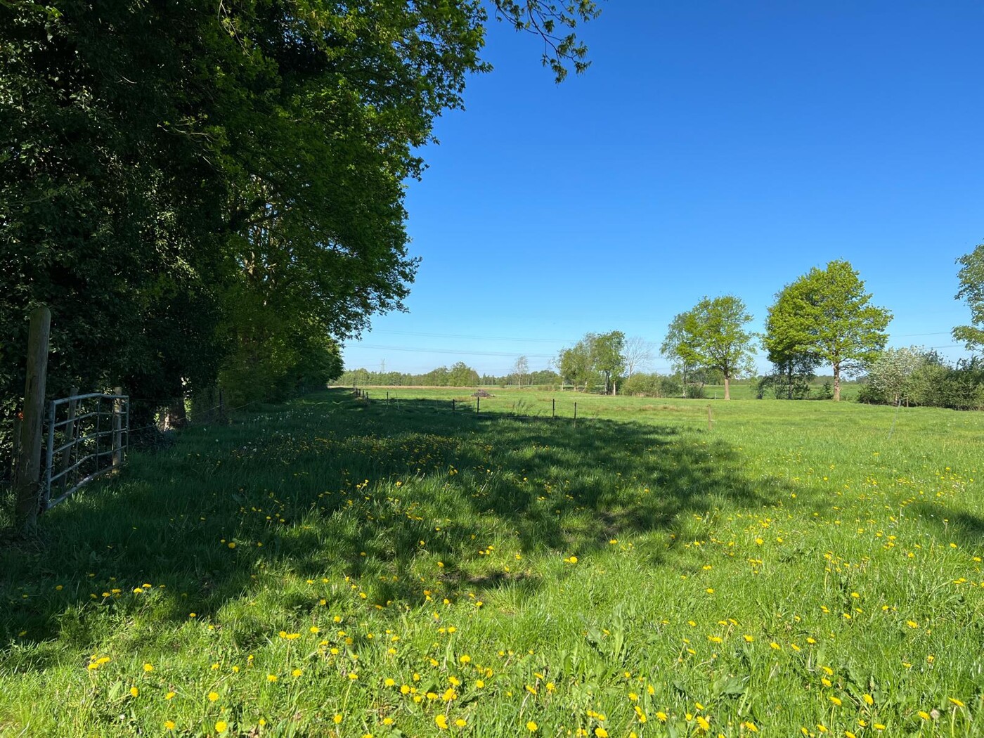Land
