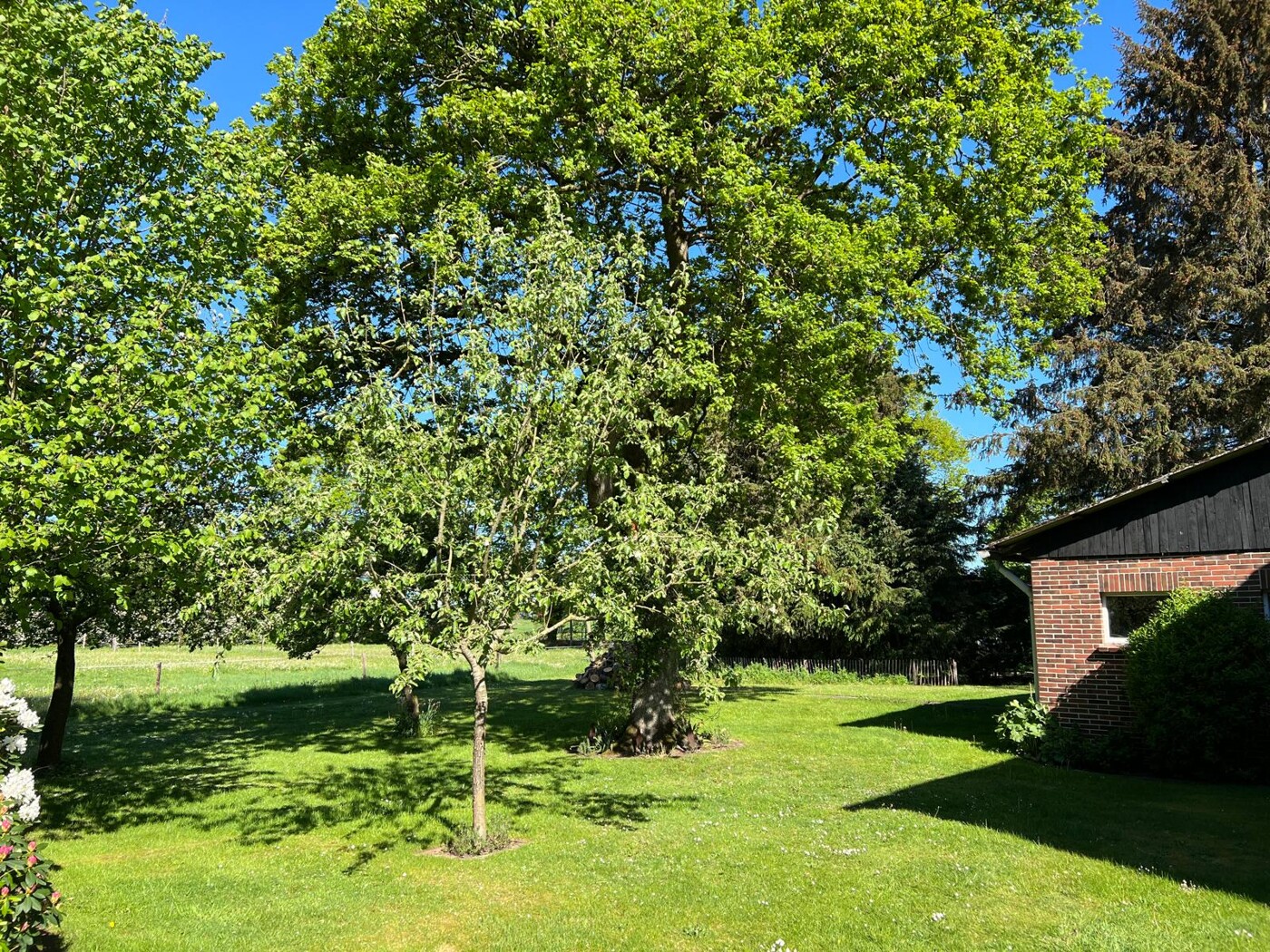 Gartenbereich